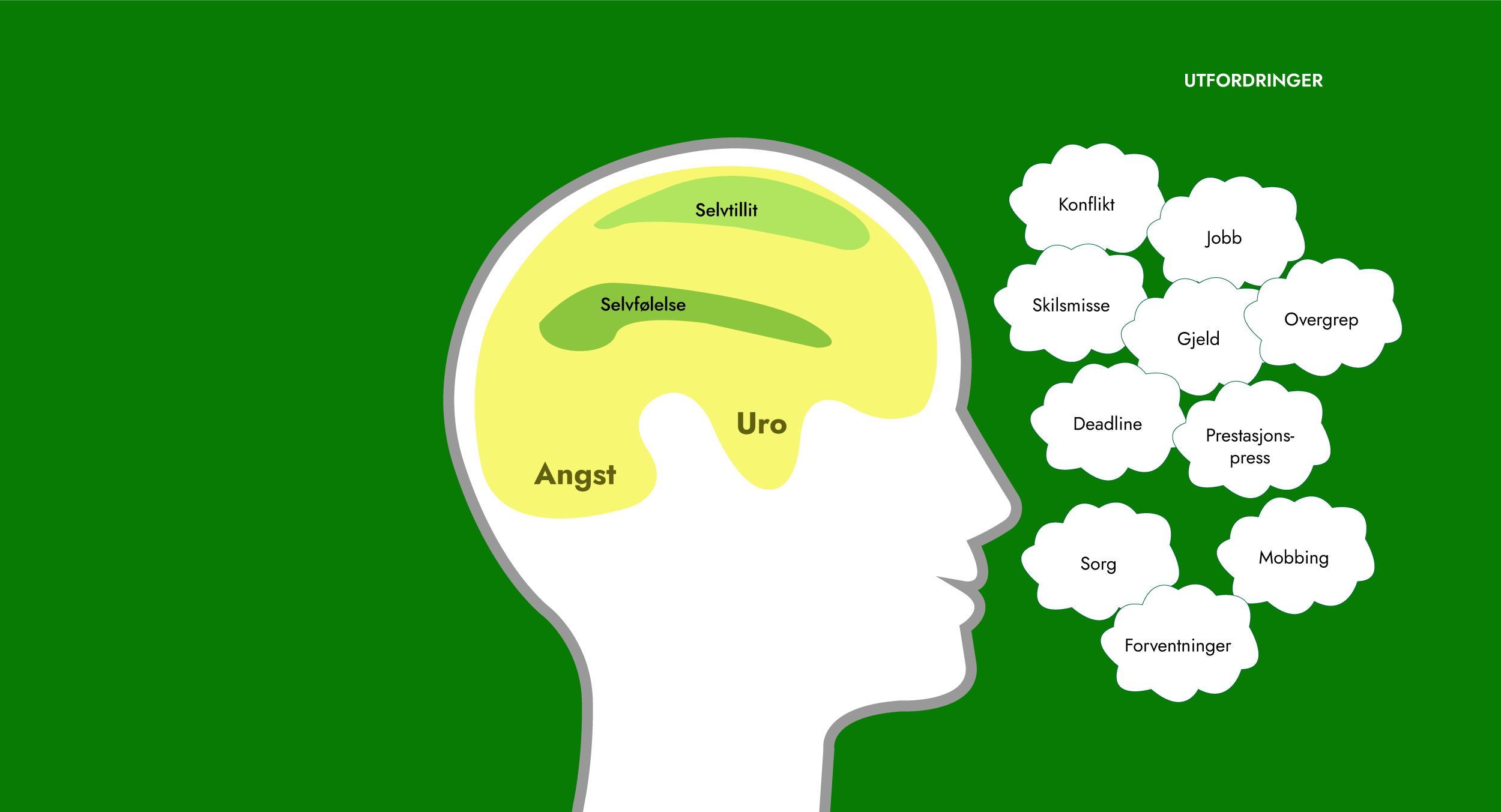 Hjernen06